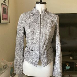 White House black market snake print moto jacket 2